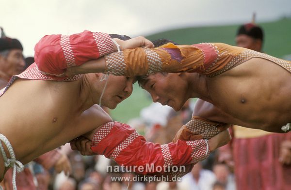 mongolisches Ringen, www.dirkpfuhl.de, x184_79