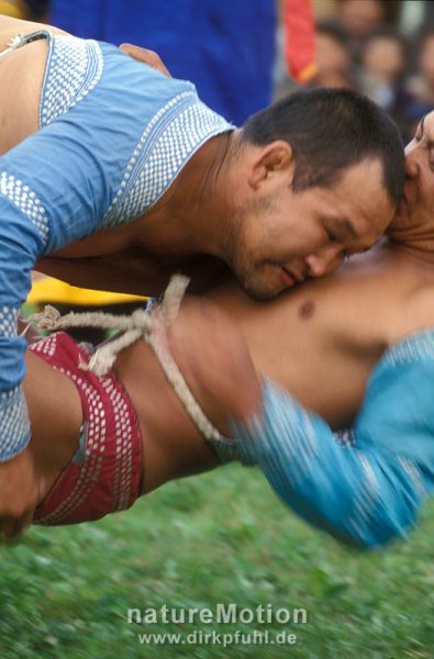 mongolisches Ringen, www.dirkpfuhl.de, x184_81